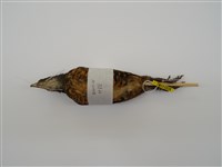 藏品(臺灣竹雞)的圖片